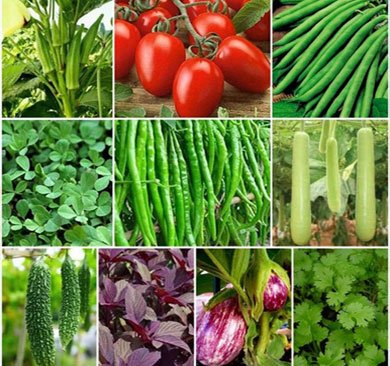 Vegetable Seeds
